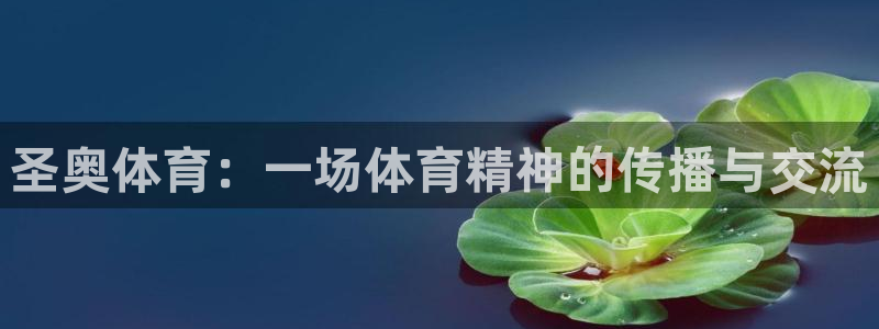 圣奥体育：一场体育精神的传播与交流
