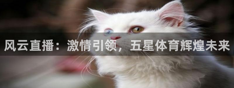 风云直播：激情引领，五星体育辉煌未来