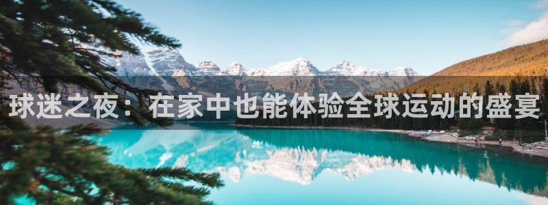 球迷之夜：在家中也能体验全球运动的盛宴