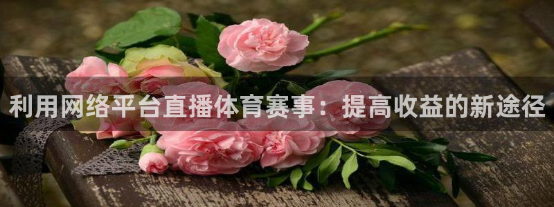 利用网络平台直播体育赛事：提高收益的新途径