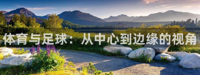 体育与足球：从中心到边缘的视角