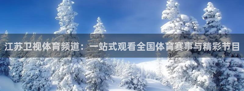 江苏卫视体育频道：一站式观看全国体育赛事与精彩节目