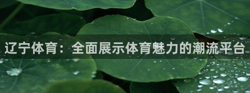 辽宁体育：全面展示体育魅力的潮流平台