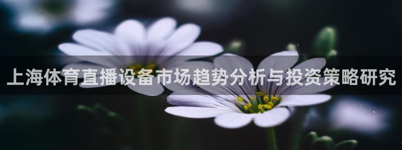 上海体育直播设备市场趋势分析与投资策略研究