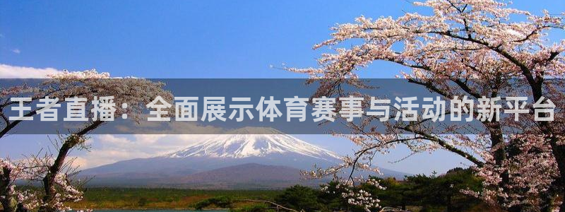 王者直播：全面展示体育赛事与活动的新平台