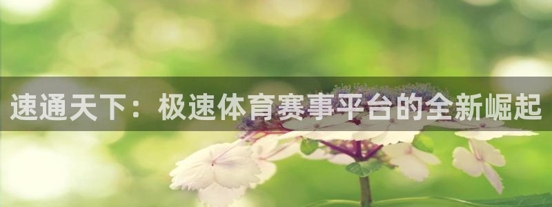 速通天下：极速体育赛事平台的全新崛起