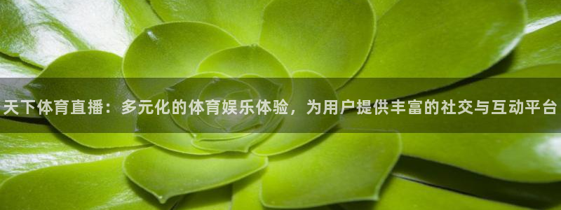 天下体育直播：多元化的体育娱乐体验，为用户提供丰富的社交与互动平台