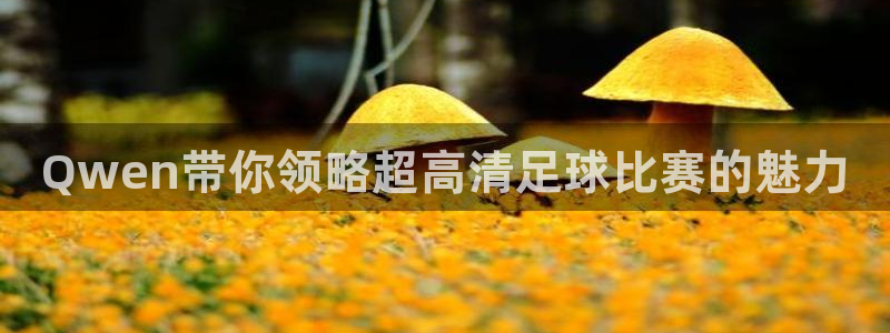 Qwen带你领略超高清足球比赛的魅力