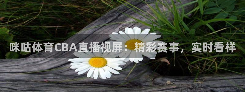 咪咕体育CBA直播视屏：精彩赛事，实时看样
