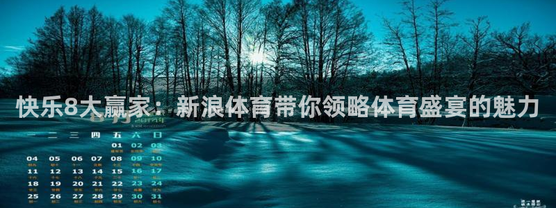 快乐8大赢家：新浪体育带你领略体育盛宴的魅力
