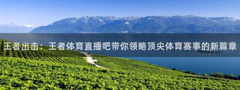王者出击：王者体育直播吧带你领略顶尖体育赛事的新篇章