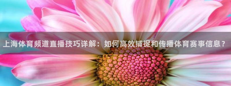 上海体育频道直播技巧详解：如何高效捕捉和传播体育赛事信息？