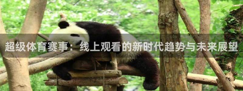 超级体育赛事：线上观看的新时代趋势与未来展望