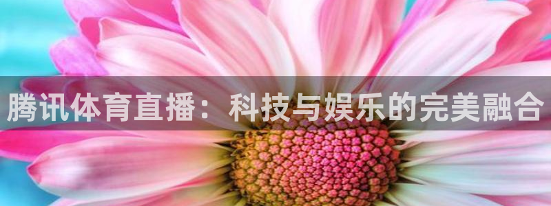 腾讯体育直播：科技与娱乐的完美融合
