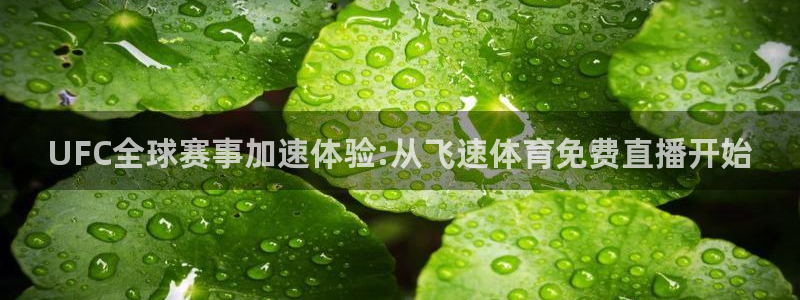 UFC全球赛事加速体验:从飞速体育免费直播开始