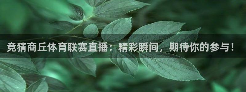 竞猜商丘体育联赛直播：精彩瞬间，期待你的参与！