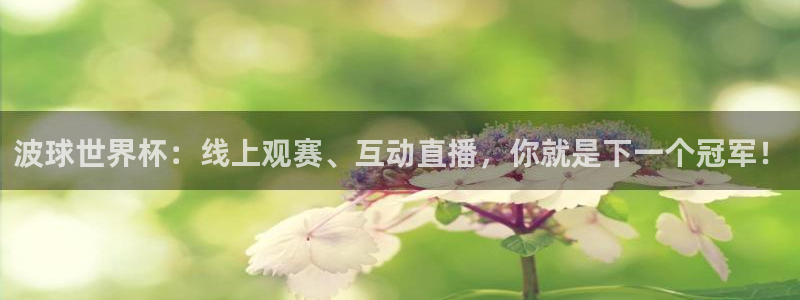 波球世界杯：线上观赛、互动直播，你就是下一个冠军！