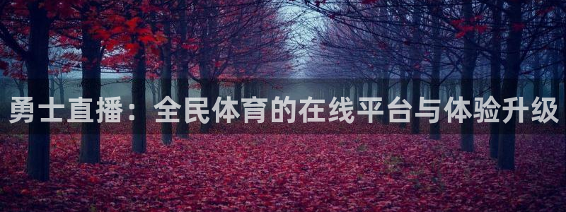 勇士直播：全民体育的在线平台与体验升级