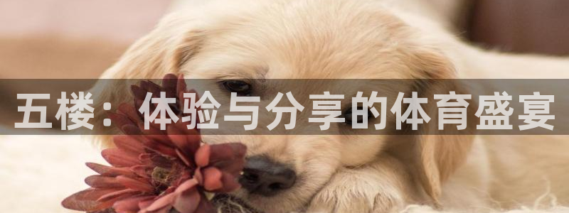 五楼：体验与分享的体育盛宴