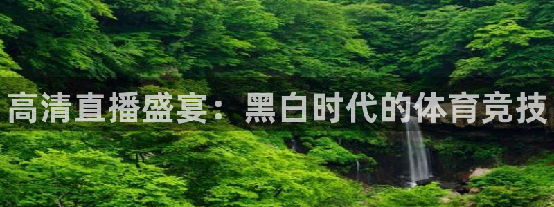 高清直播盛宴：黑白时代的体育竞技