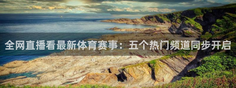 全网直播看最新体育赛事：五个热门频道同步开启