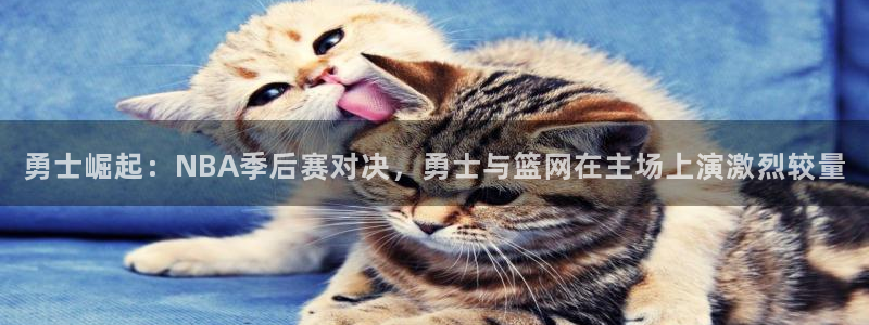 勇士崛起：NBA季后赛对决，勇士与篮网在主场上演激烈较量
