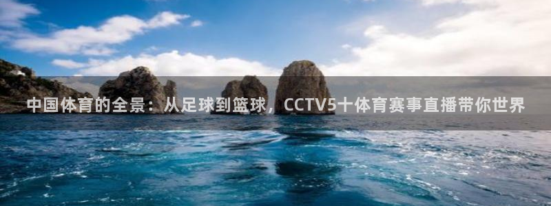 中国体育的全景：从足球到篮球，CCTV5十体育赛事直播带你世界
