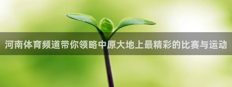 河南体育频道带你领略中原大地上最精彩的比赛与运动
