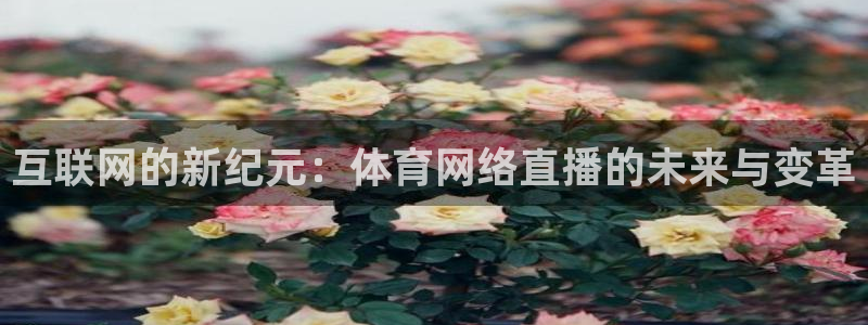 互联网的新纪元：体育网络直播的未来与变革