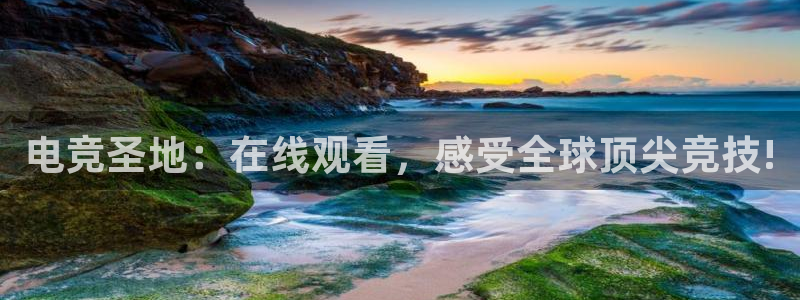 电竞圣地：在线观看，感受全球顶尖竞技!
