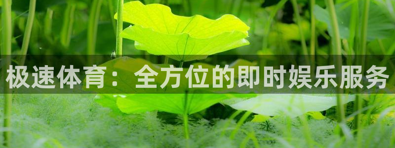 极速体育：全方位的即时娱乐服务