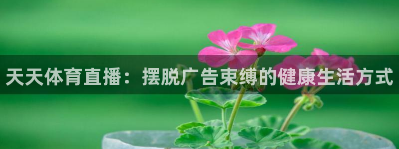 天天体育直播：摆脱广告束缚的健康生活方式