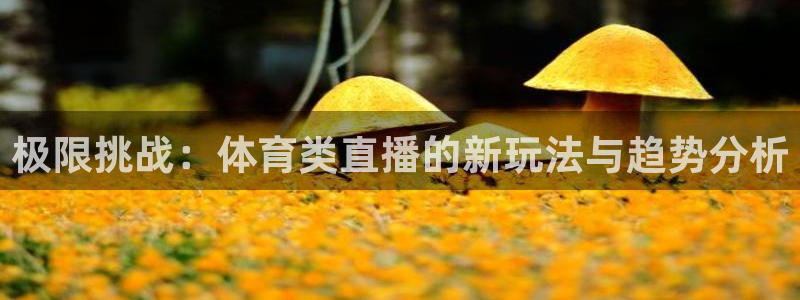 极限挑战：体育类直播的新玩法与趋势分析