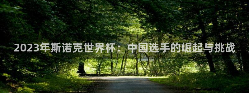 2023年斯诺克世界杯：中国选手的崛起与挑战