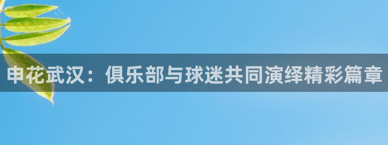申花武汉：俱乐部与球迷共同演绎精彩篇章