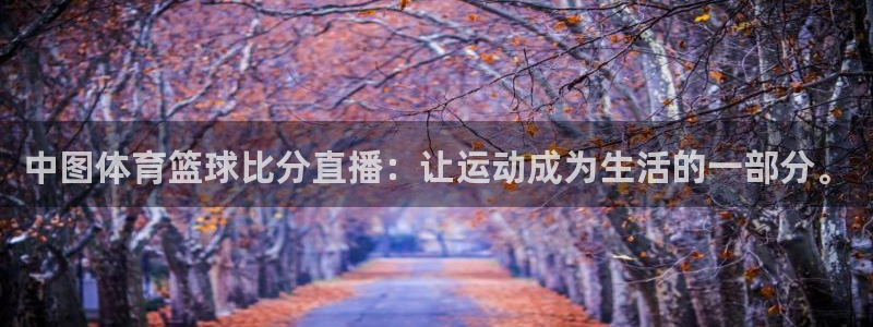 中图体育篮球比分直播：让运动成为生活的一部分。