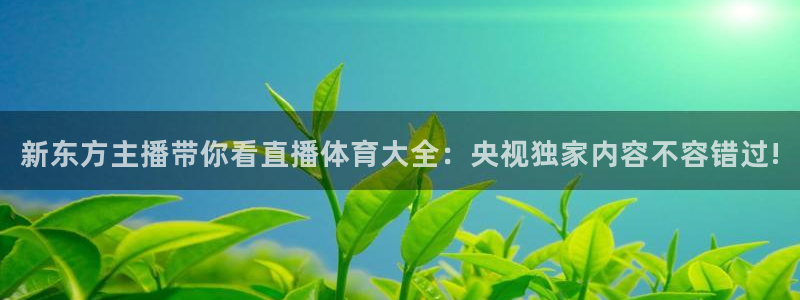 新东方主播带你看直播体育大全：央视独家内容不容错过!