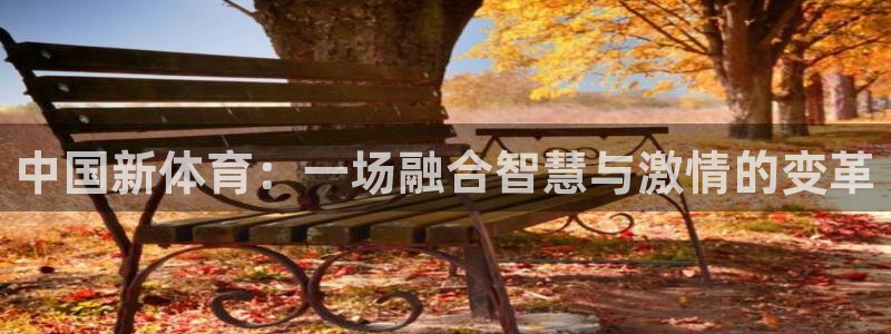 中国新体育：一场融合智慧与激情的变革
