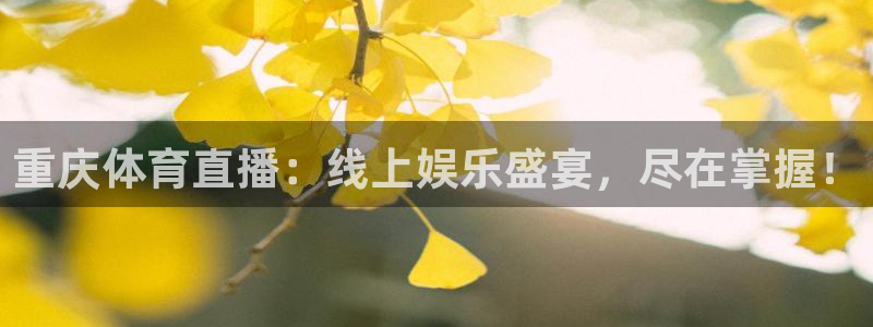 重庆体育直播：线上娱乐盛宴，尽在掌握！