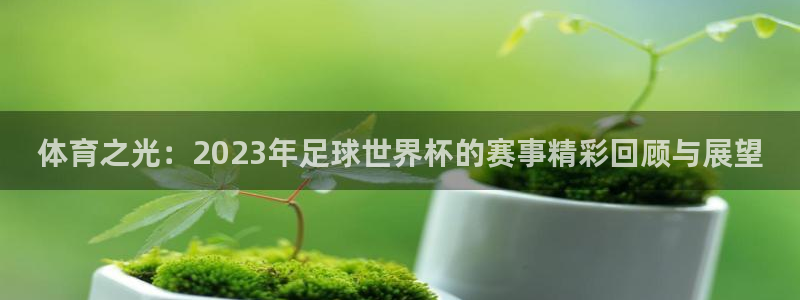 体育之光：2023年足球世界杯的赛事精彩回顾与展望