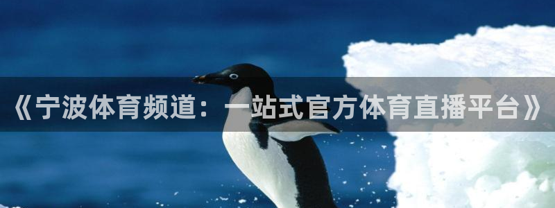 《宁波体育频道：一站式官方体育直播平台》