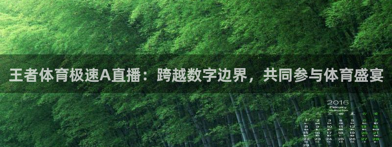 王者体育极速A直播：跨越数字边界，共同参与体育盛宴
