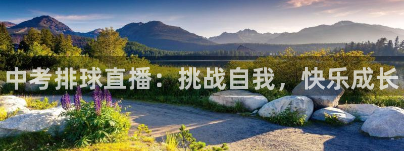 中考排球直播：挑战自我，快乐成长