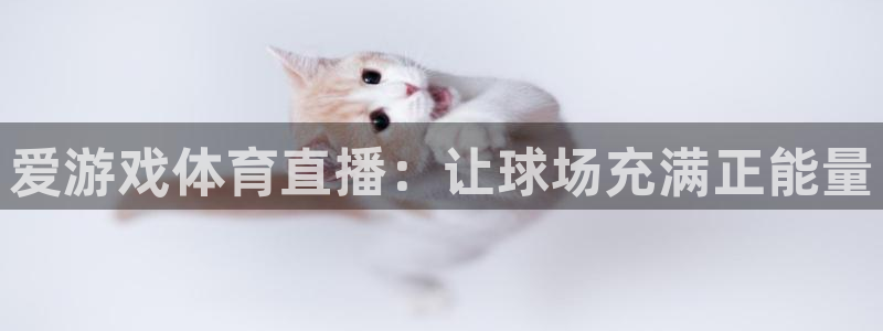 爱游戏体育直播：让球场充满正能量