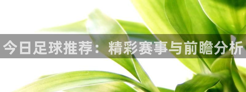 今日足球推荐：精彩赛事与前瞻分析