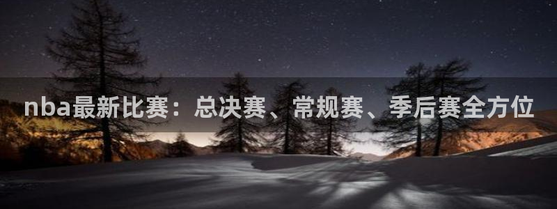 nba最新比赛：总决赛、常规赛、季后赛全方位