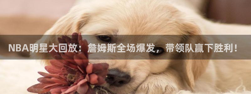 NBA明星大回放：詹姆斯全场爆发，带领队赢下胜利！