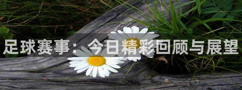 足球赛事：今日精彩回顾与展望