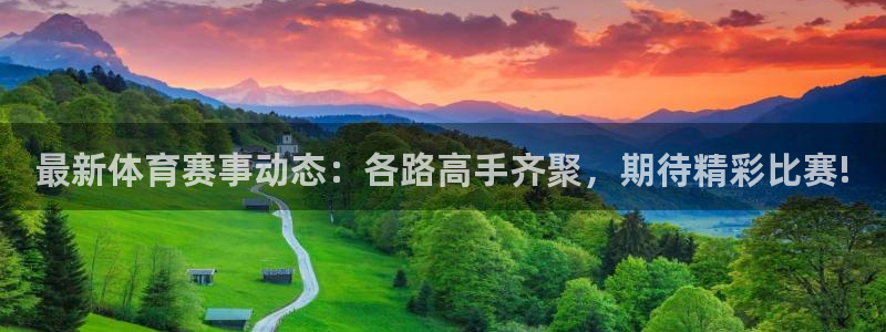 最新体育赛事动态：各路高手齐聚，期待精彩比赛!