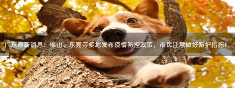 广东最新消息：佛山、东莞等多地发布疫情防控政策，市民注意做好防护措施！